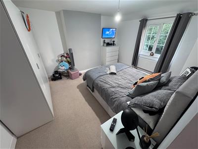 Picture 20